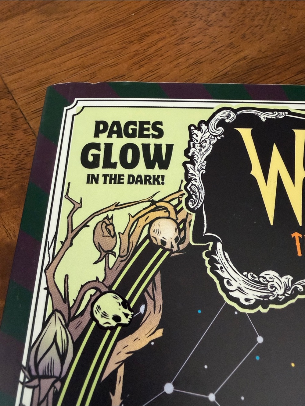 Wednesday Official Glow In the Dark Coloring Book -96 pgs - Picture 2 of 9
